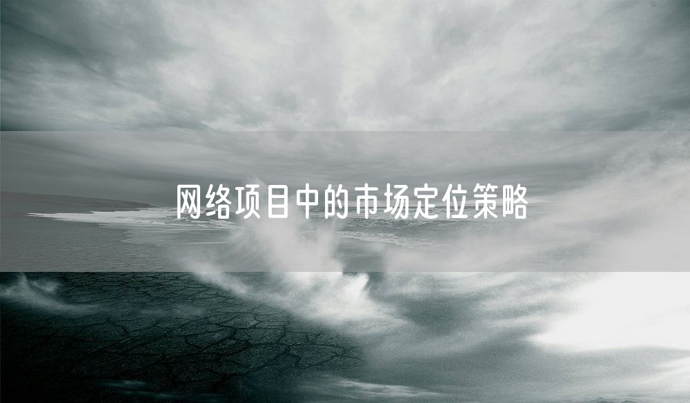 网络项目中的市场定位策略