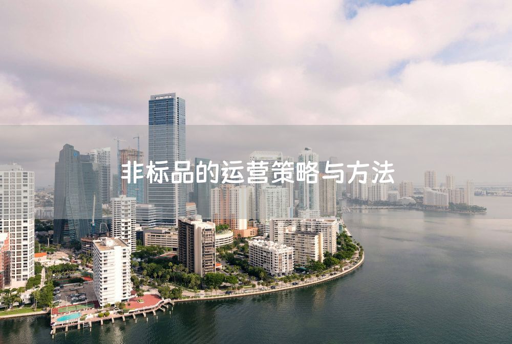 非标品的运营策略与方法