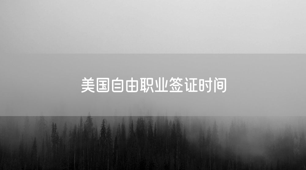美国自由职业签证时间
