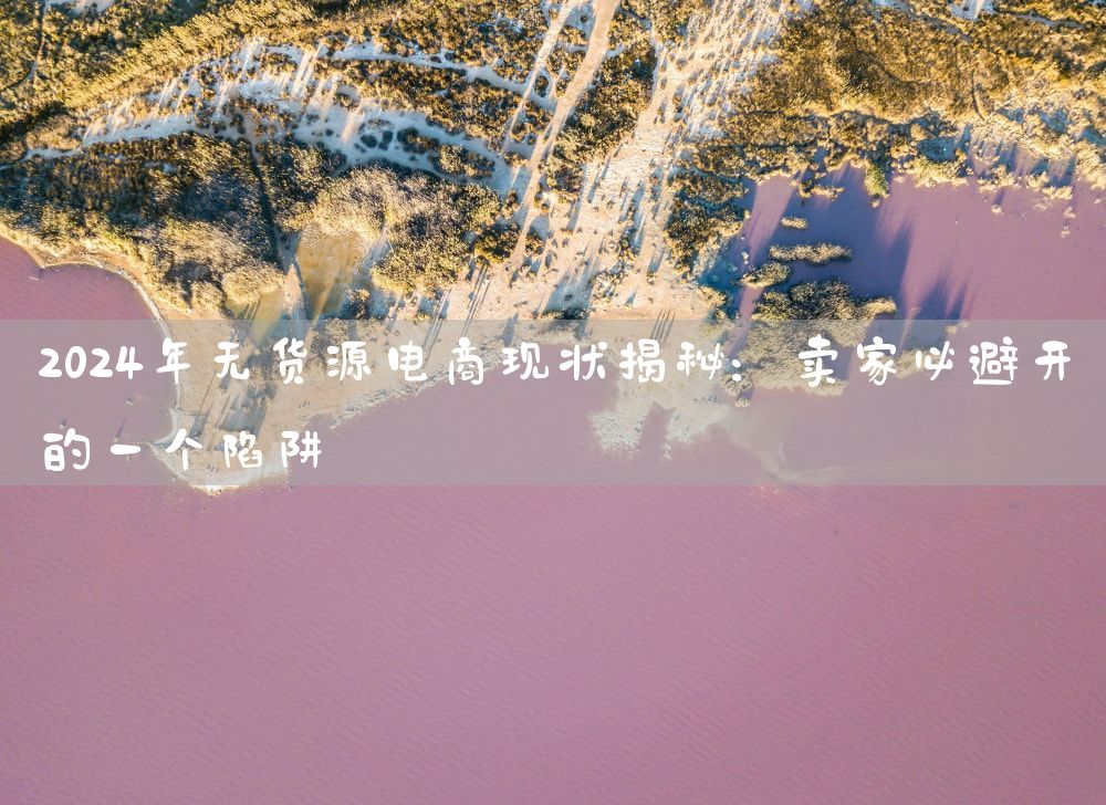 2024年无货源电商现状揭秘：卖家必避开的一个陷阱