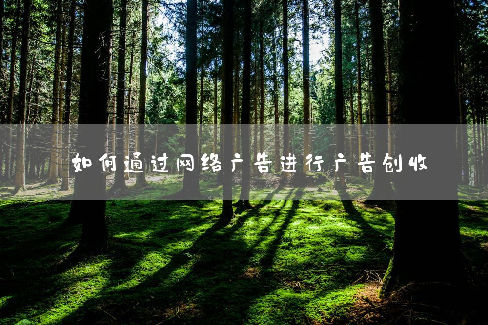 如何通过网络广告进行广告创收
