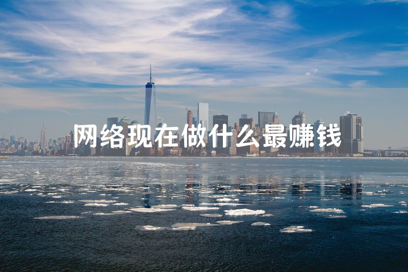 网络现在做什么最赚钱