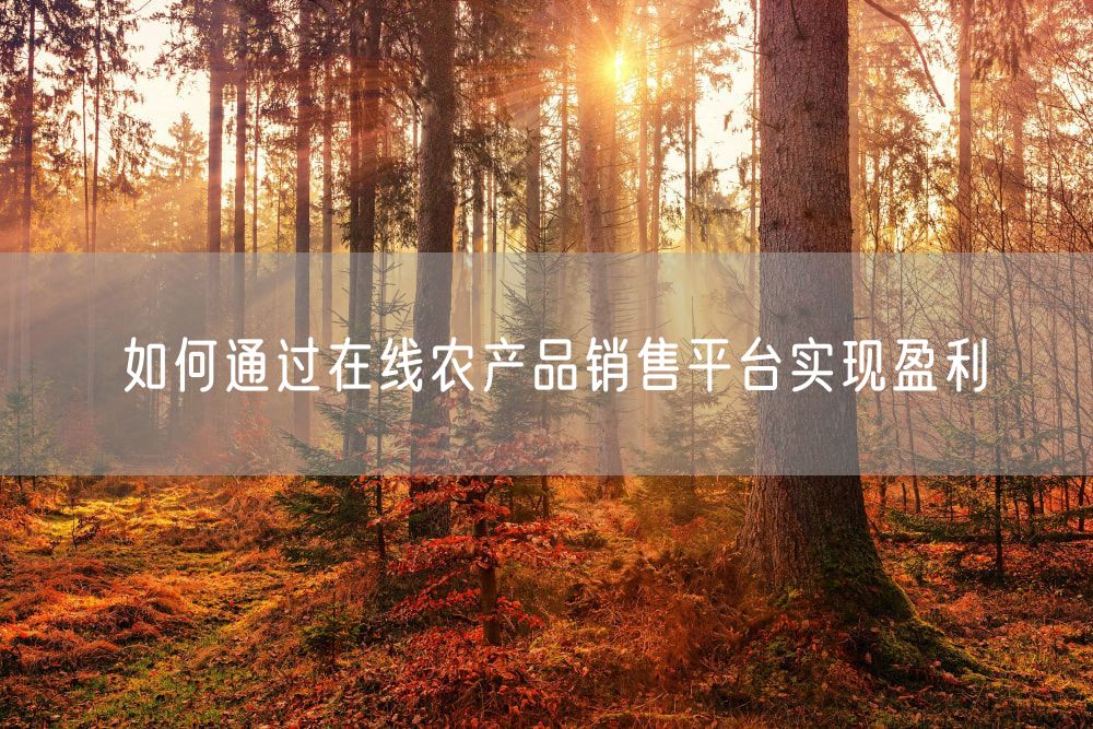 如何通过在线农产品销售平台实现盈利