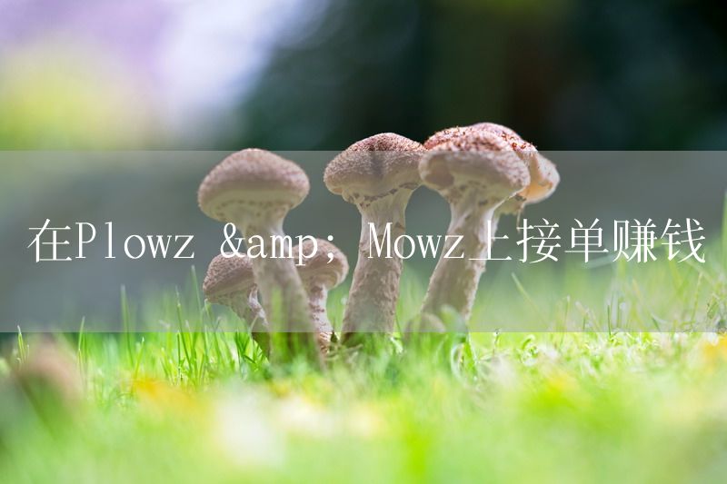 在Plowz & Mowz上接单赚钱