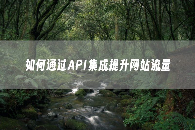 如何通过API集成提升网站流量