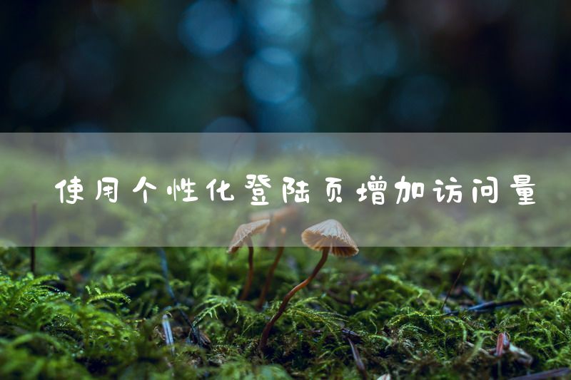使用个性化登陆页增加访问量