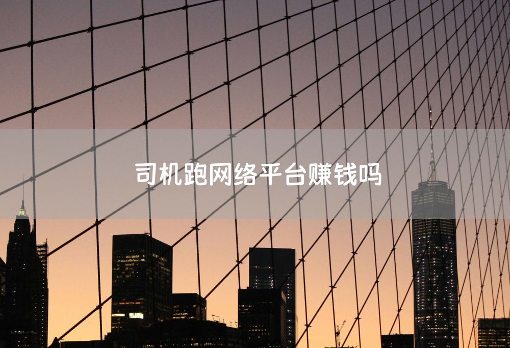 司机跑网络平台赚钱吗