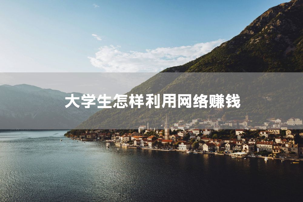 大学生怎样利用网络赚钱