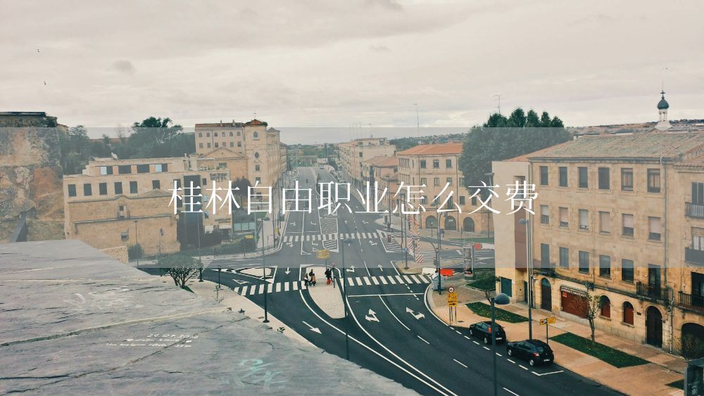 桂林自由职业怎么交费