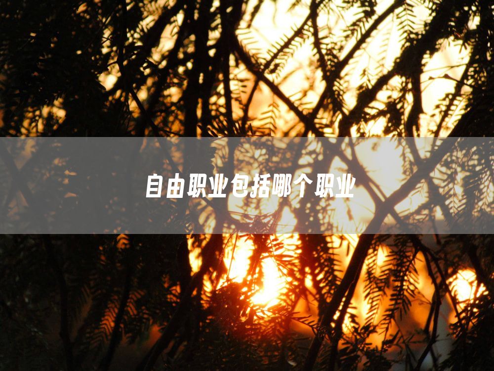 自由职业包括哪个职业