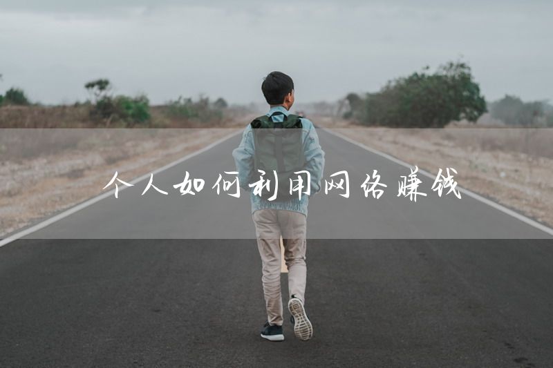 个人如何利用网络赚钱