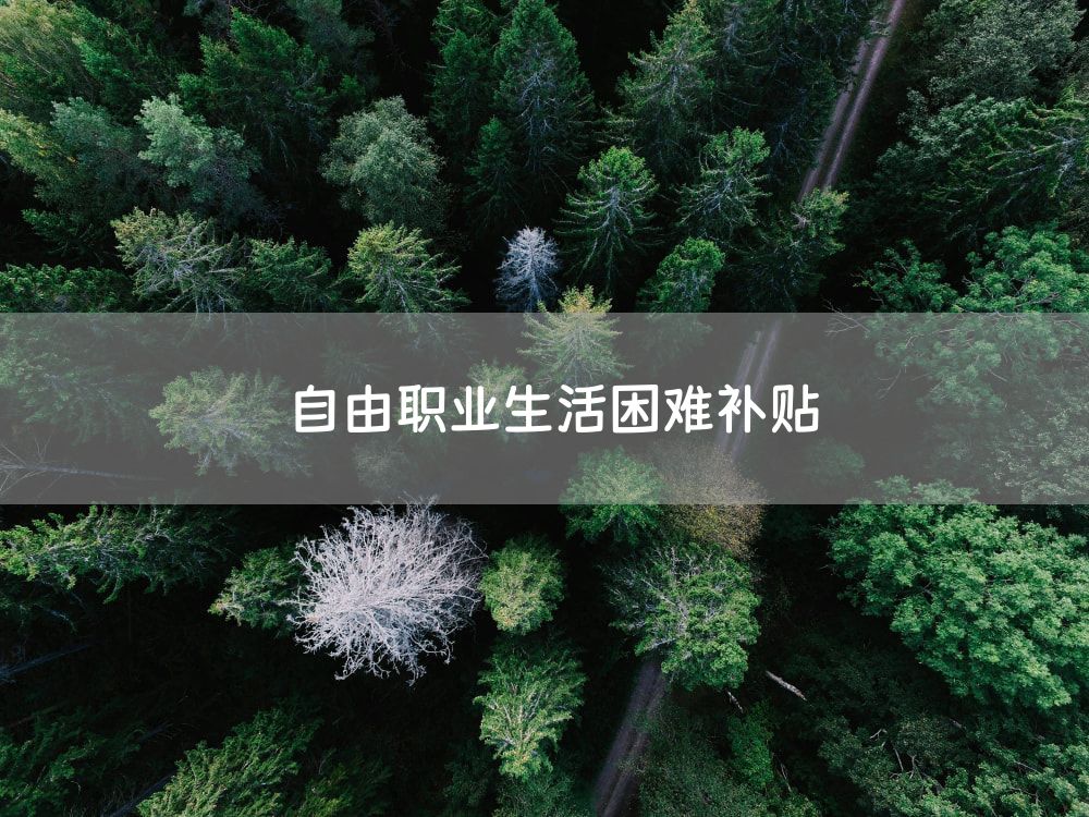 自由职业生活困难补贴