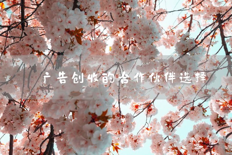 广告创收的合作伙伴选择