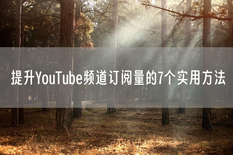 提升YouTube频道订阅量的7个实用方法