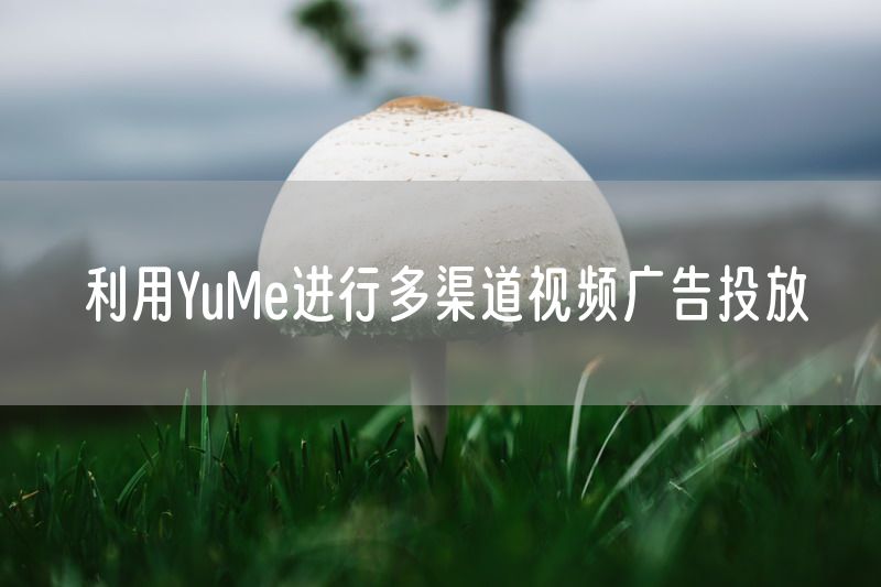 利用YuMe进行多渠道视频广告投放
