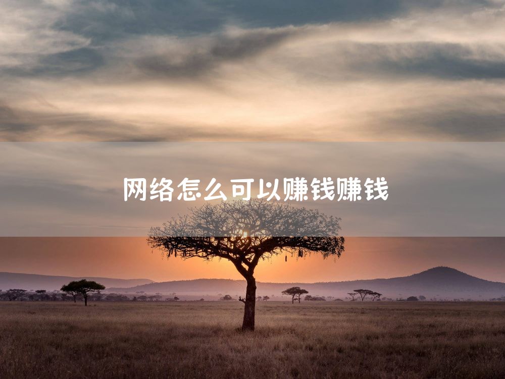 网络怎么可以赚钱赚钱