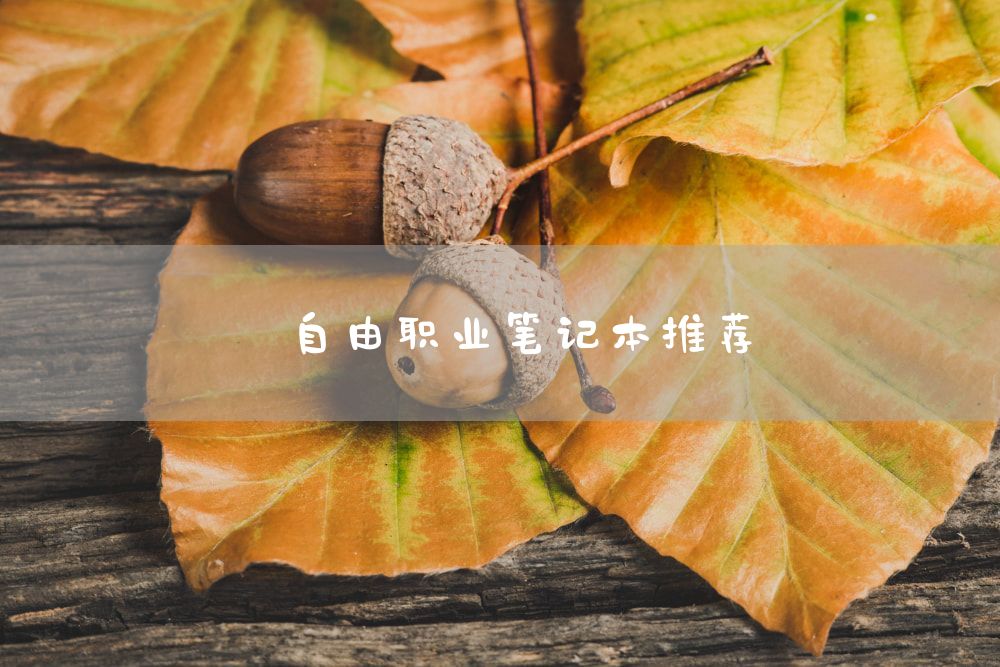 自由职业笔记本推荐