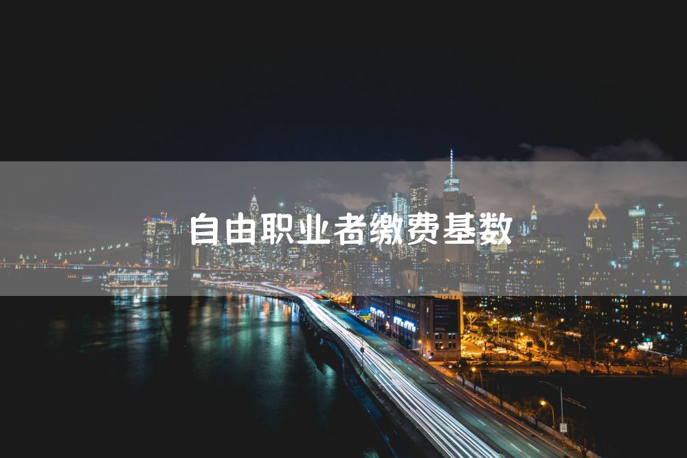 自由职业者缴费基数