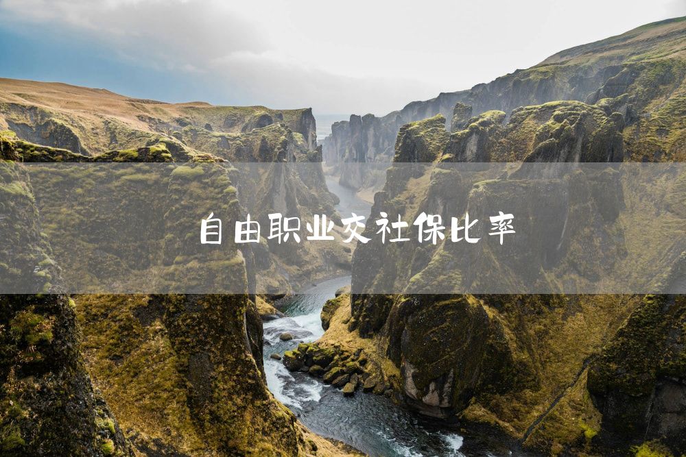 自由职业交社保比率