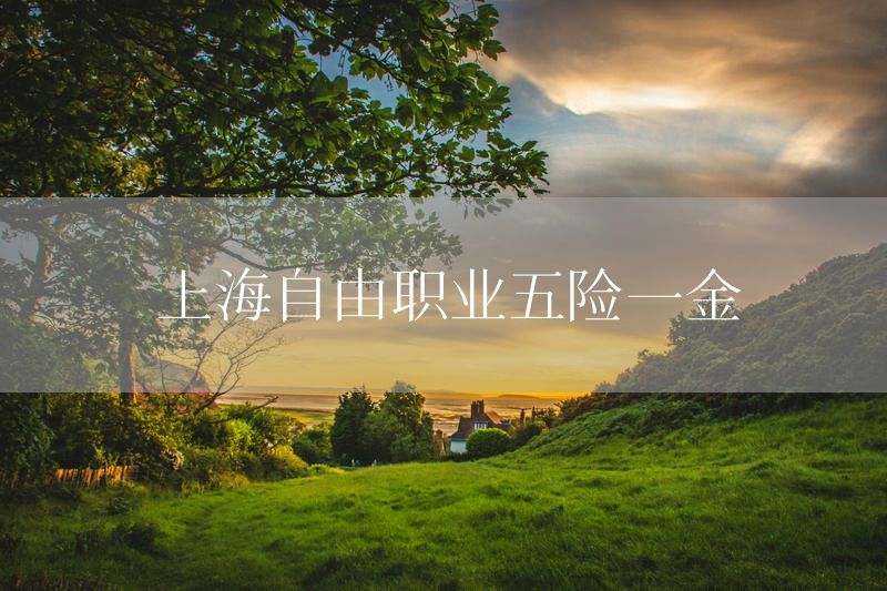 上海自由职业五险一金