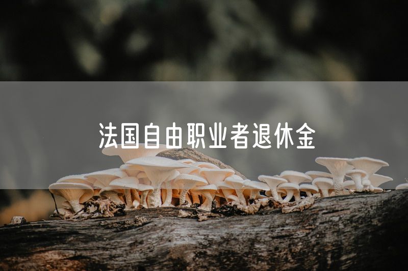 法国自由职业者退休金