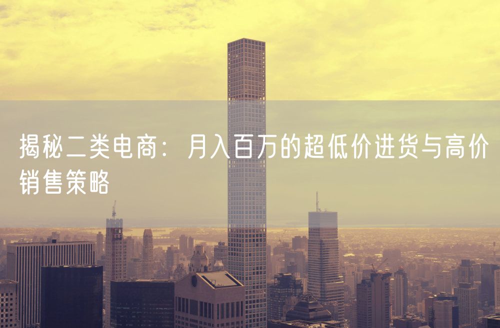 揭秘二类电商：月入百万的超低价进货与高价销售策略