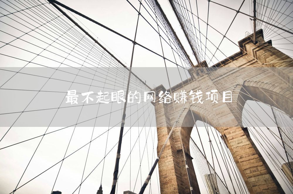 最不起眼的网络赚钱项目