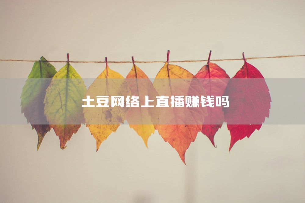 土豆网络上直播赚钱吗