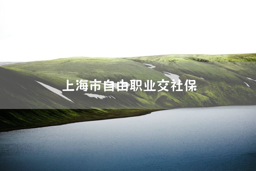 上海市自由职业交社保