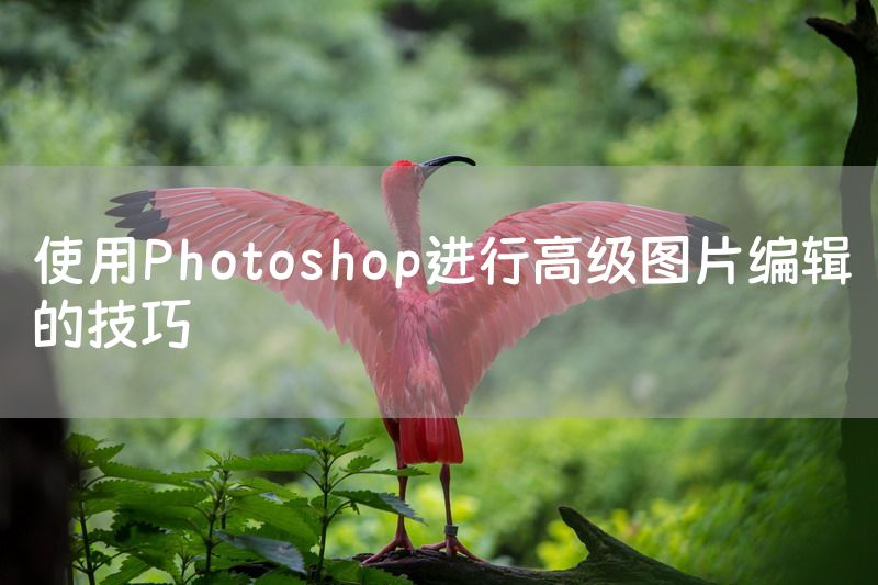 使用Photoshop进行高级图片编辑的技巧