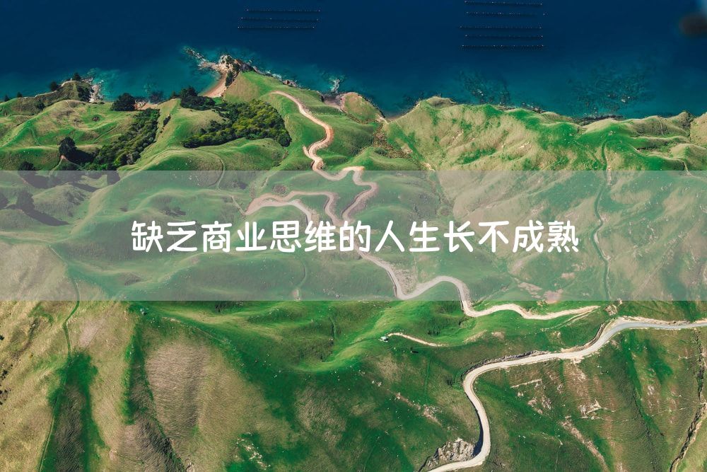 缺乏商业思维的人生长不成熟
