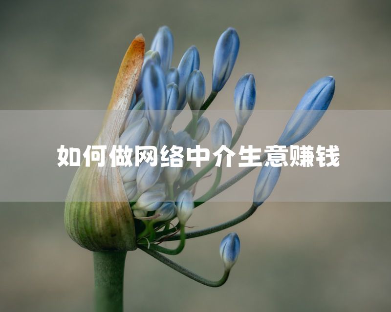 如何做网络中介生意赚钱