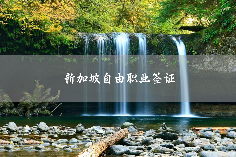 新加坡自由职业签证