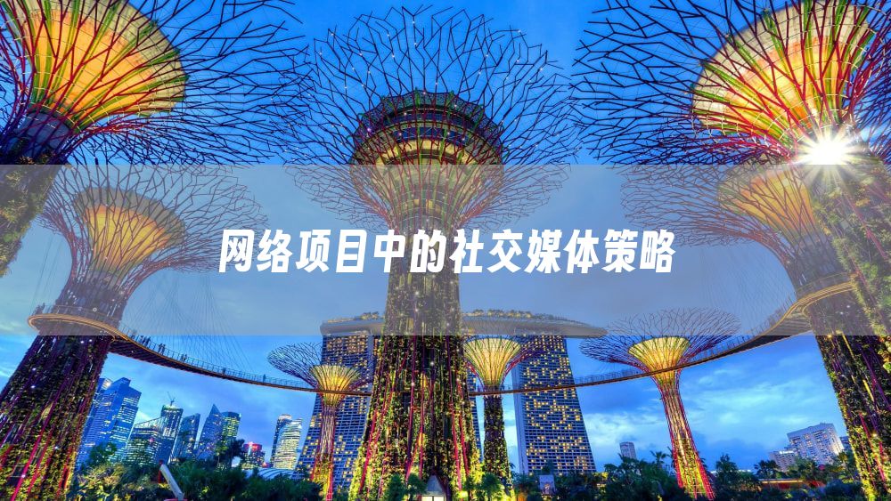 网络项目中的社交媒体策略