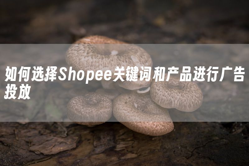 如何选择Shopee关键词和产品进行广告投放