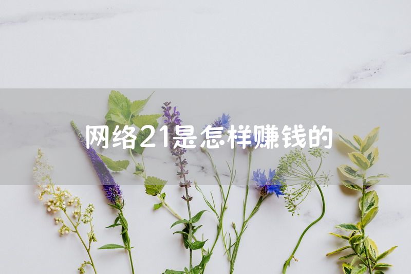 网络21是怎样赚钱的