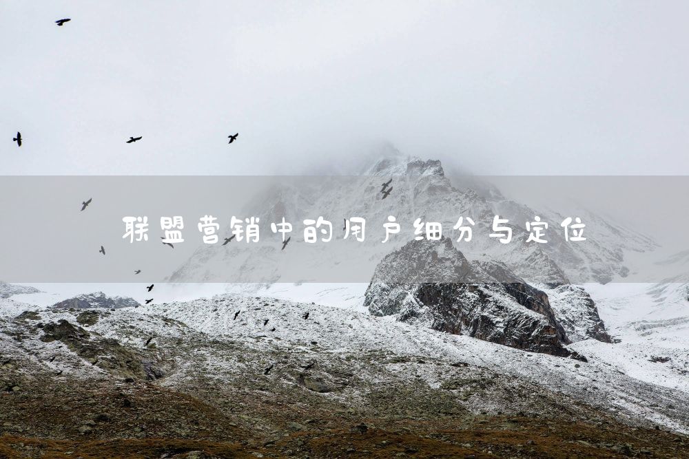 联盟营销中的用户细分与定位