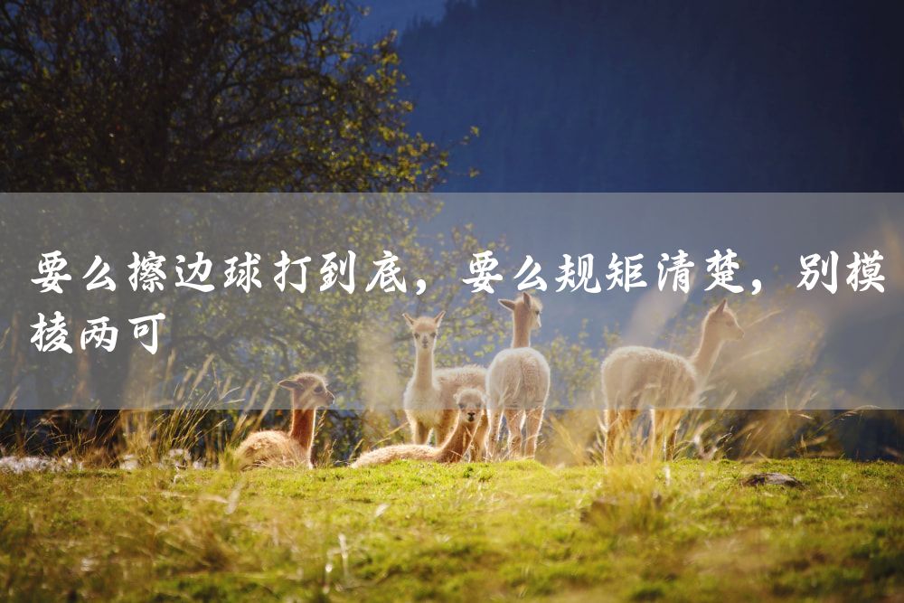 要么擦边球打到底，要么规矩清楚，别模棱两可
