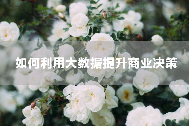 如何利用大数据提升商业决策