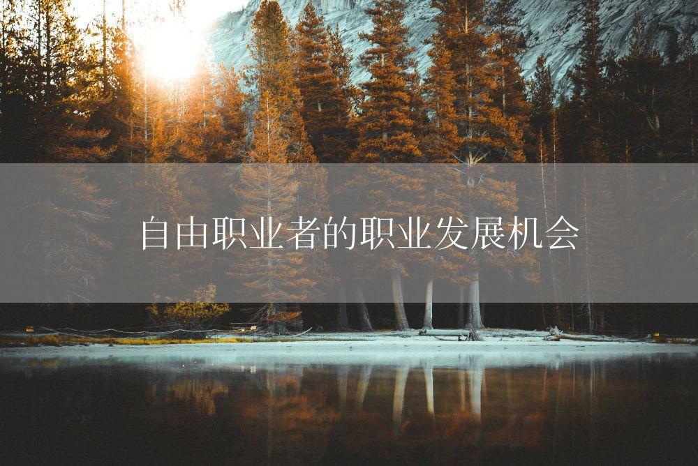 自由职业者的职业发展机会