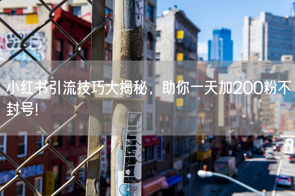 小红书引流技巧大揭秘，助你一天加200粉不封号！