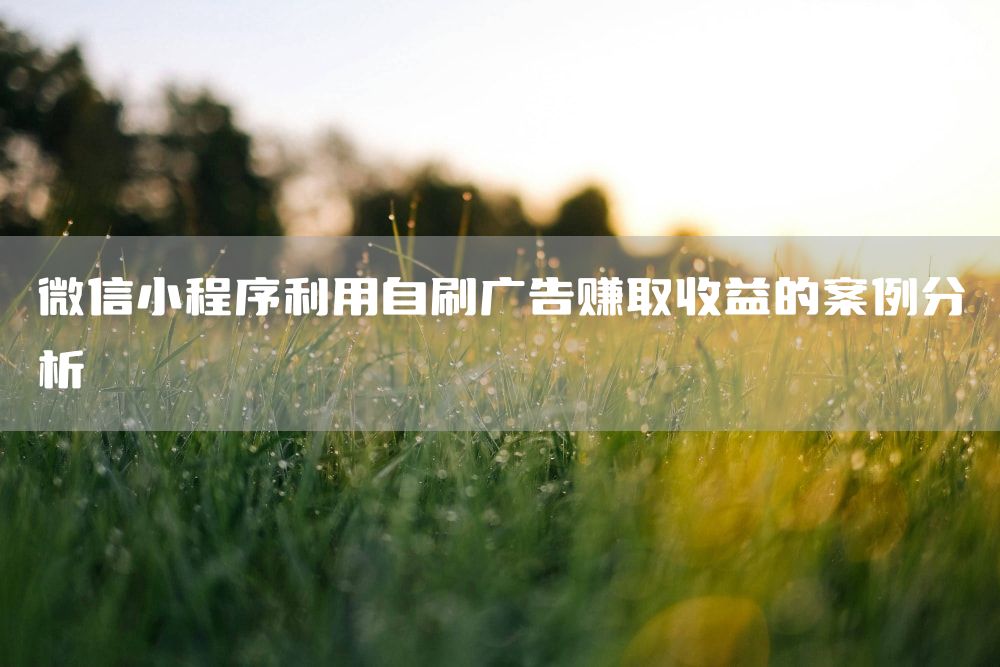 微信小程序利用自刷广告赚取收益的案例分析