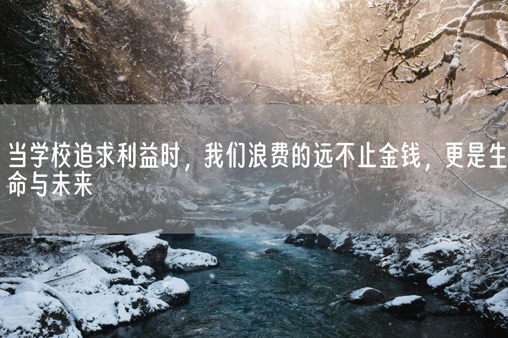 当学校追求利益时，我们浪费的远不止金钱，更是生命与未来