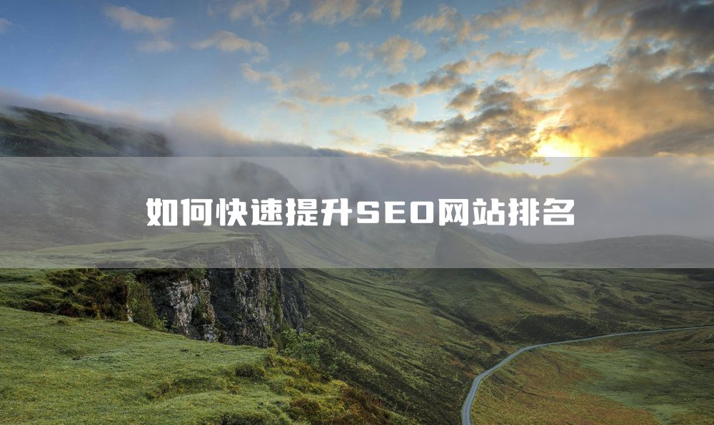 如何快速提升SEO网站排名