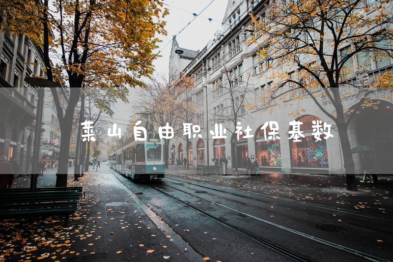 莱山自由职业社保基数