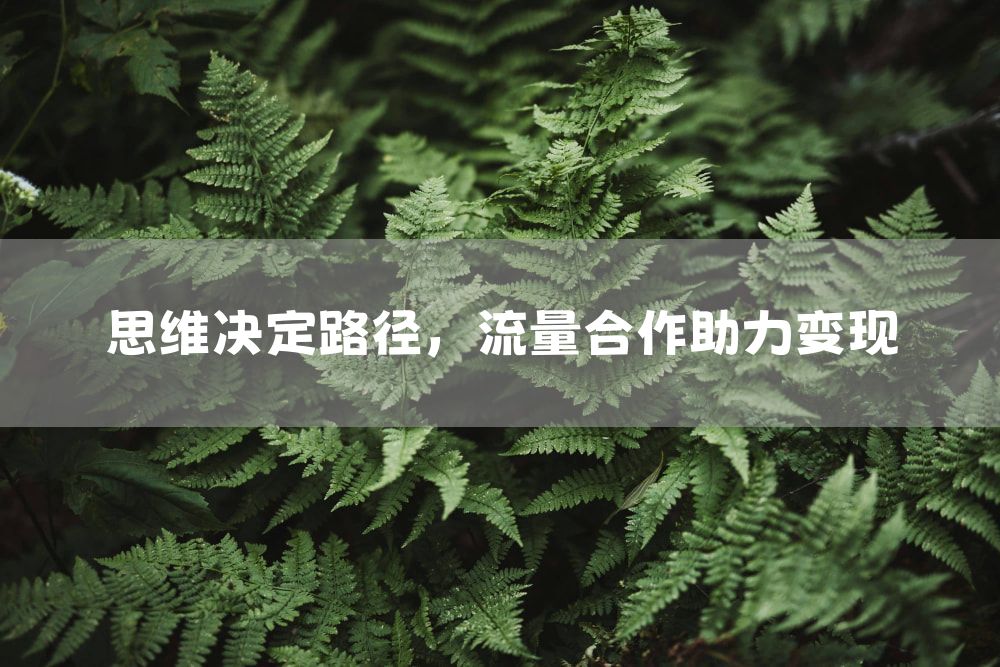 思维决定路径，流量合作助力变现