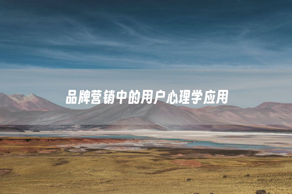 品牌营销中的用户心理学应用