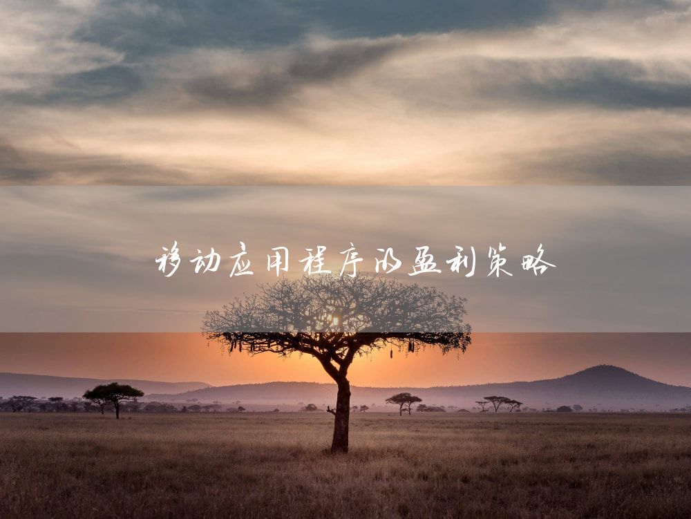 移动应用程序的盈利策略