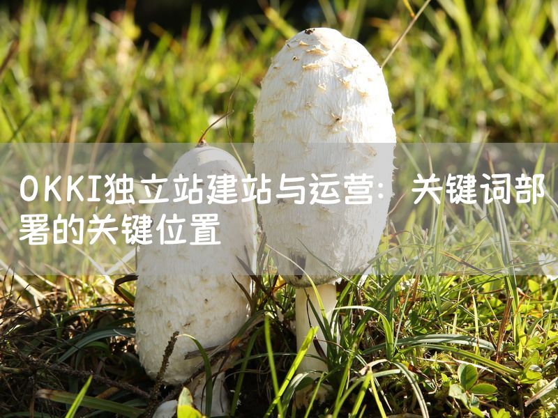OKKI独立站建站与运营：关键词部署的关键位置
