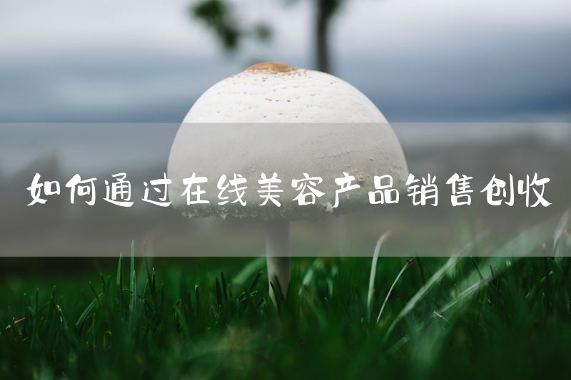 如何通过在线美容产品销售创收